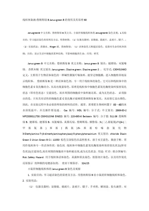 线粒体詹姆斯绿染色