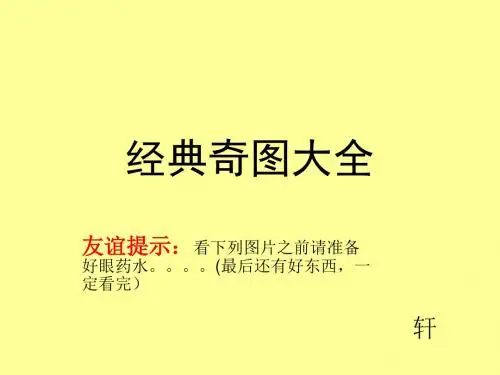 经典神奇欺骗图大全