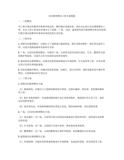 亮化维修整治工程方案模板