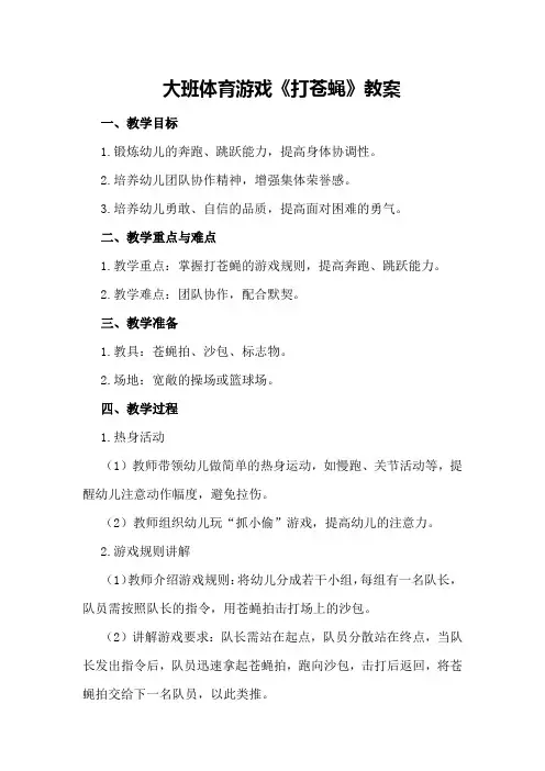 大班体育游戏《打苍蝇》教案