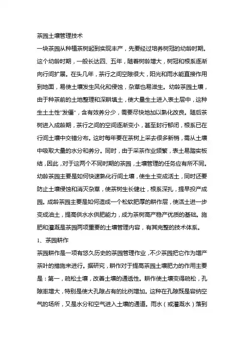 茶园土壤管理技术