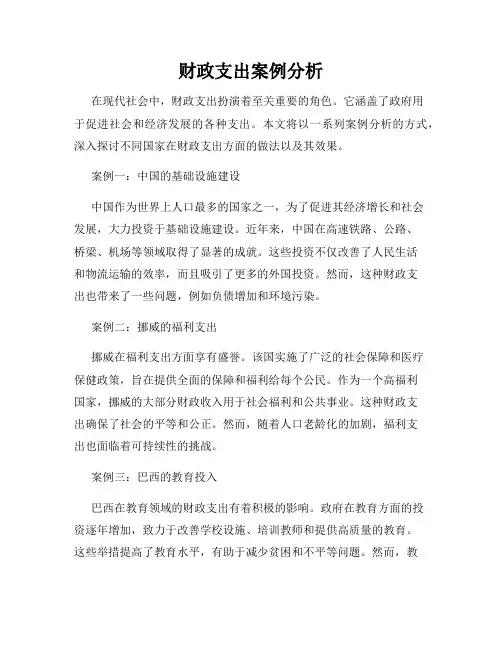 财政支出案例分析