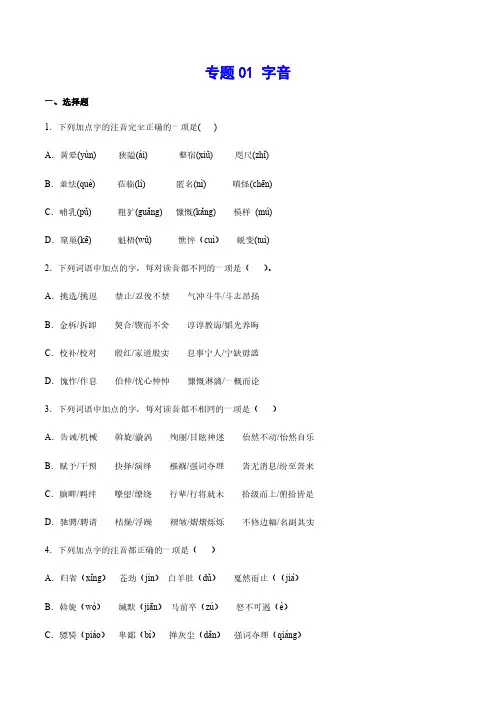 中考语文基础考点专题复习 字音(原卷版)