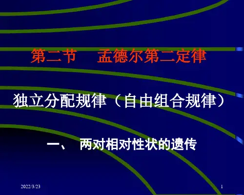 第三章第二节  独立分配规律