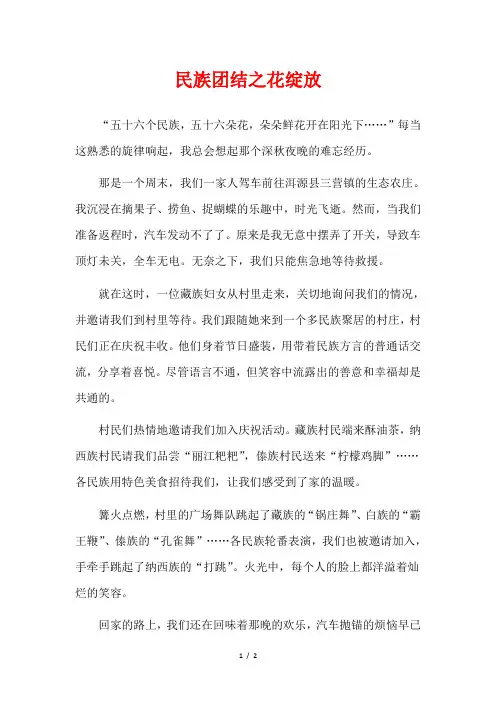 民族团结之花绽放