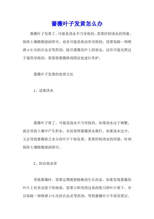 蔷薇叶子发黄怎么办