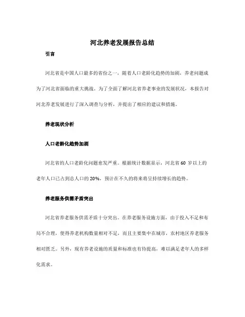 河北养老发展报告总结