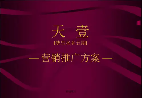 天丰行广告媒介代理公司关于天壹项目推广方案