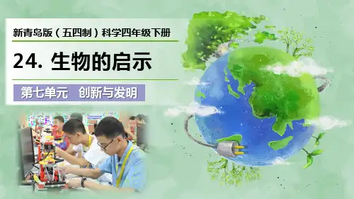 新青岛版(五四制)科学四年级下册第七单元 创新与发明《生物的启示》优质课件