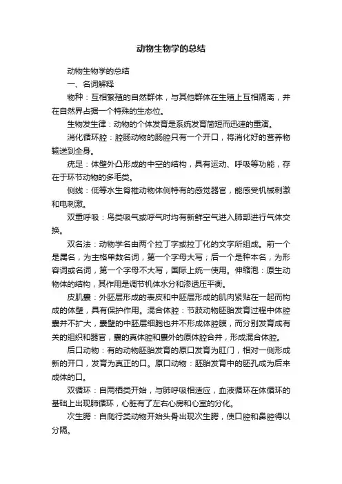 动物生物学的总结