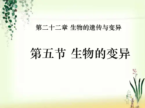 苏教版八年级生物下册第22章  第五节 生物的变异(共24张PPT)