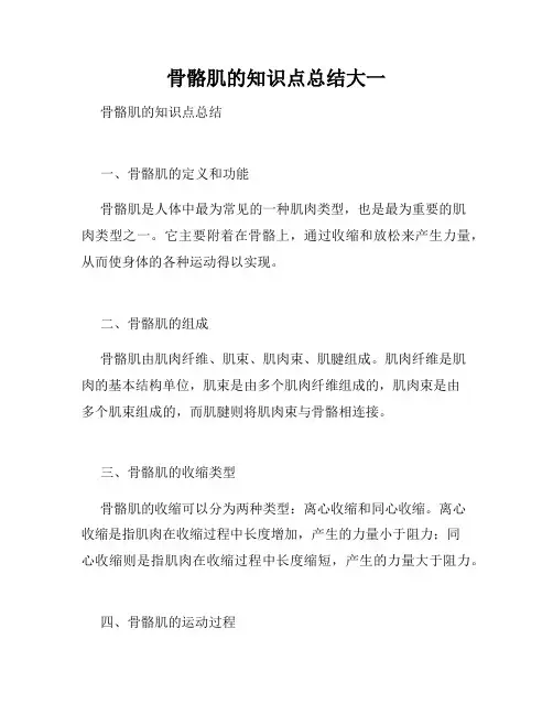 骨骼肌的知识点总结大一