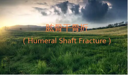 肱骨干骨折PPT课件