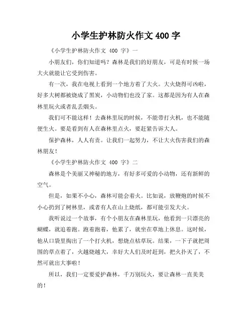 小学生护林防火作文400字