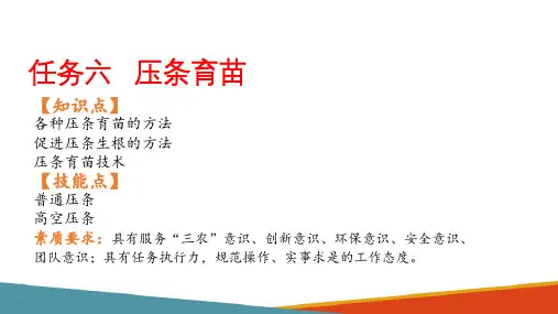 苗圃地育苗—压条育苗(种苗生产课件)