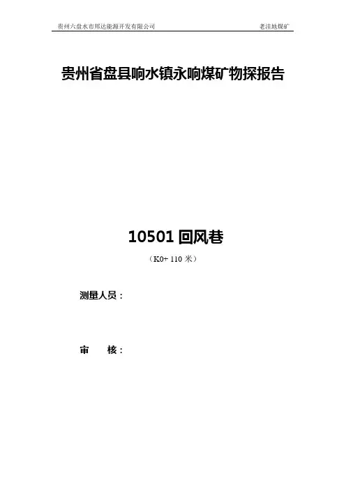 10501回风巷物探报告