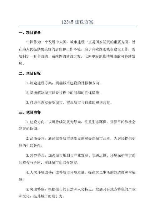 12345建设方案