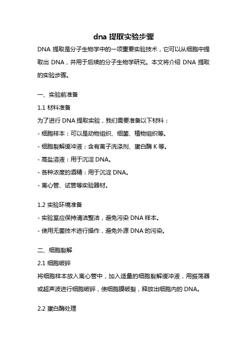 dna提取实验步骤