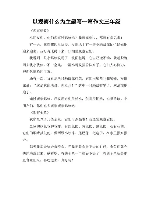 以观察什么为主题写一篇作文三年级