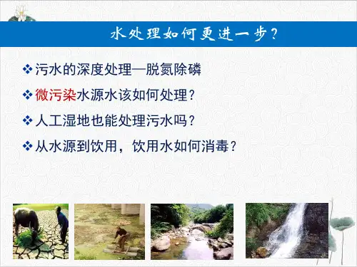 污水深处理和微污染源水预处理中微生物学原理PPT.