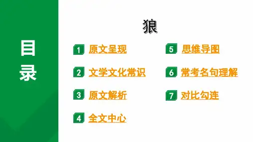 2024成都语文中考试题研究备考第五部分 古诗文阅读 专题一 文言文阅读 狼“三行对译”(讲)