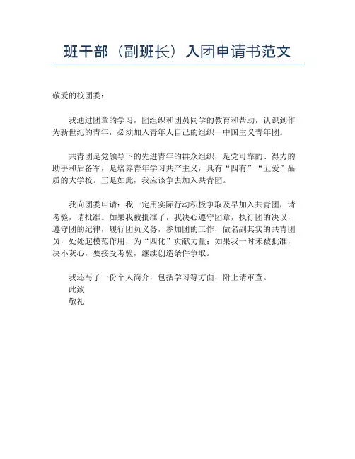班干部(副班长)入团申请书范文