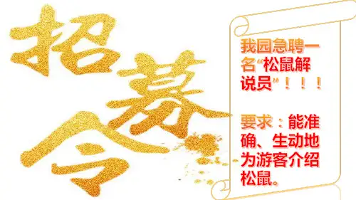 17.松鼠课件(共23张PPT)(2024年)