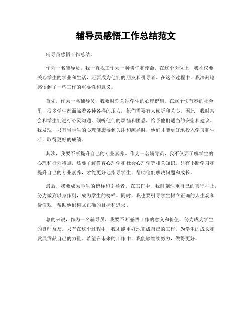 辅导员感悟工作总结范文
