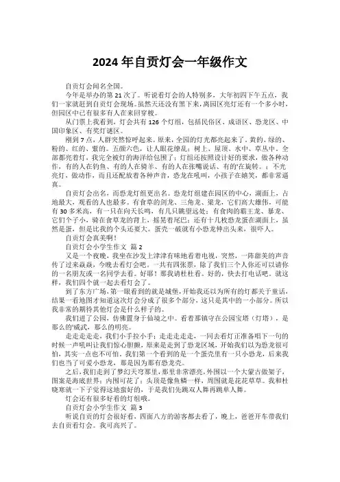 2024年自贡灯会一年级作文