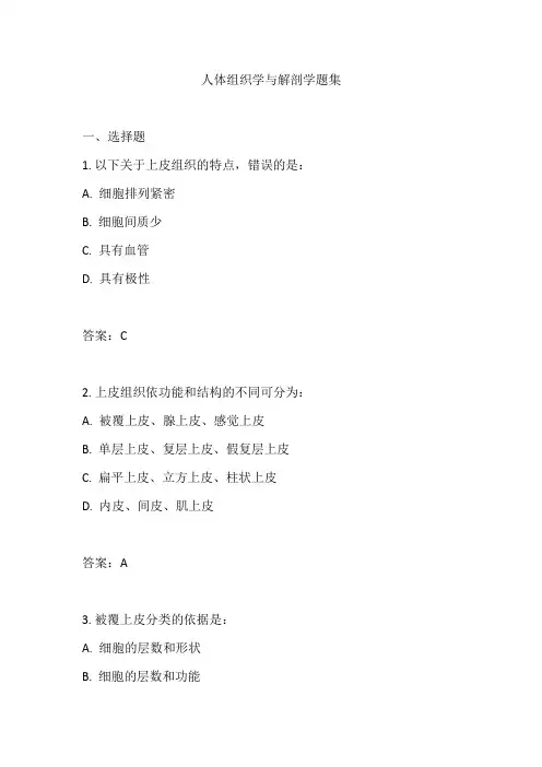 人体组织学与解剖学题集