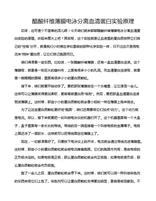 醋酸纤维薄膜电泳分离血清蛋白实验原理
