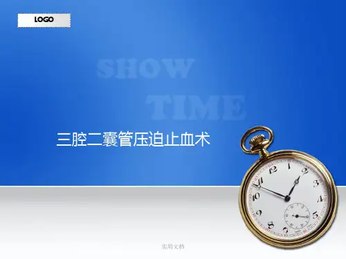 三腔二囊管示意图