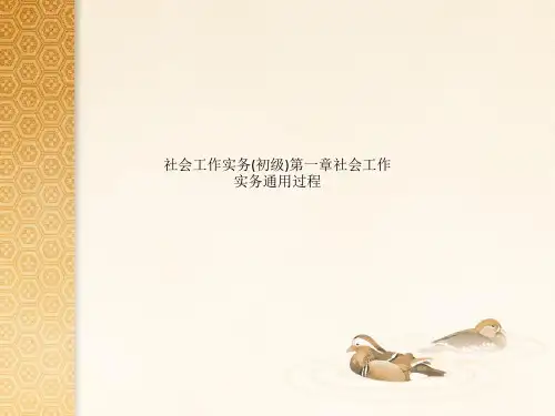 社会工作实务(初级)第一章社会工作实务通用过程