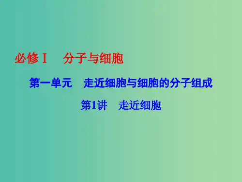 高考生物一轮总复习 第一单元 走近细胞与细胞的分子组成 第1讲 走近细胞课件(必修1)