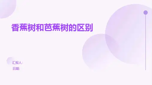香蕉树和芭蕉树的区别