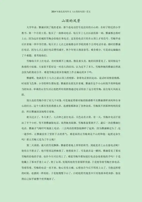 2014年湖北高考语文作文《山顶的风景》范文