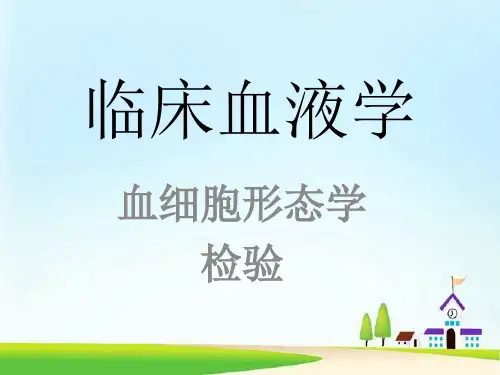 临床血液学—血细胞形态学检验