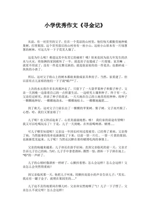 小学优秀作文《寻金记》