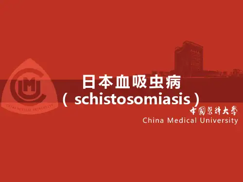 日本血吸虫病-精品医学课件