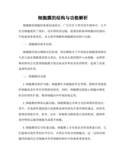 细胞膜的结构与功能解析
