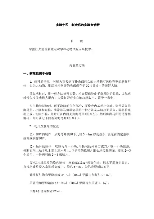 家畜传染病学实验指导：狂犬病的实验室诊断  免费