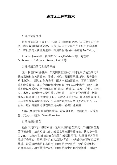 蔬菜无土种植技术