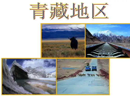 湘教版八下地理《青藏地区》教学课件