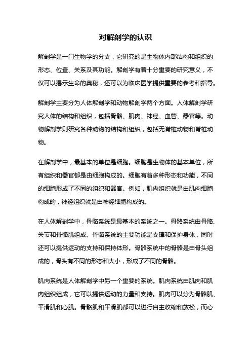 对解剖学的认识