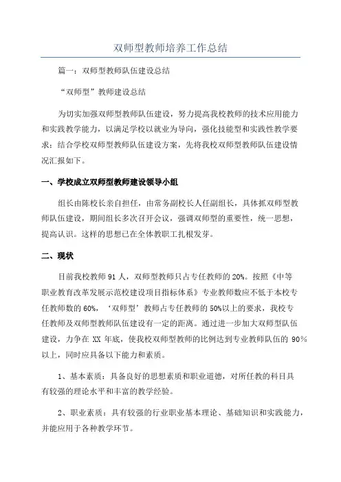双师型教师培养工作总结