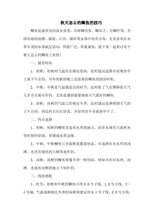 钓鱼技巧：秋天怎么钓鲫鱼的技巧