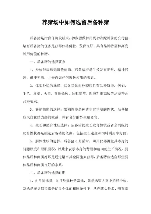 养猪场中如何选留后备种猪