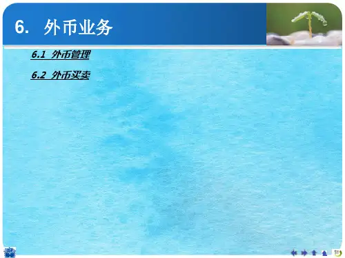 出纳岗位理论与实务-ppt课件
