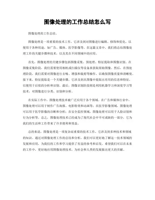 图像处理的工作总结怎么写