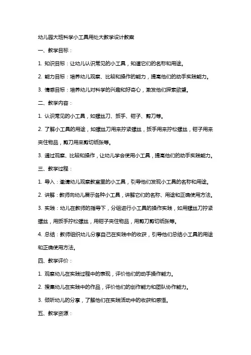 幼儿园大班科学小工具用处大教学设计教案